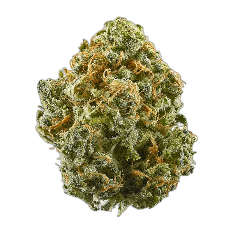 Blue Magic